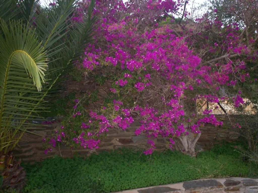 Bed and Breakfast La Dea Madre Stintino 0*,